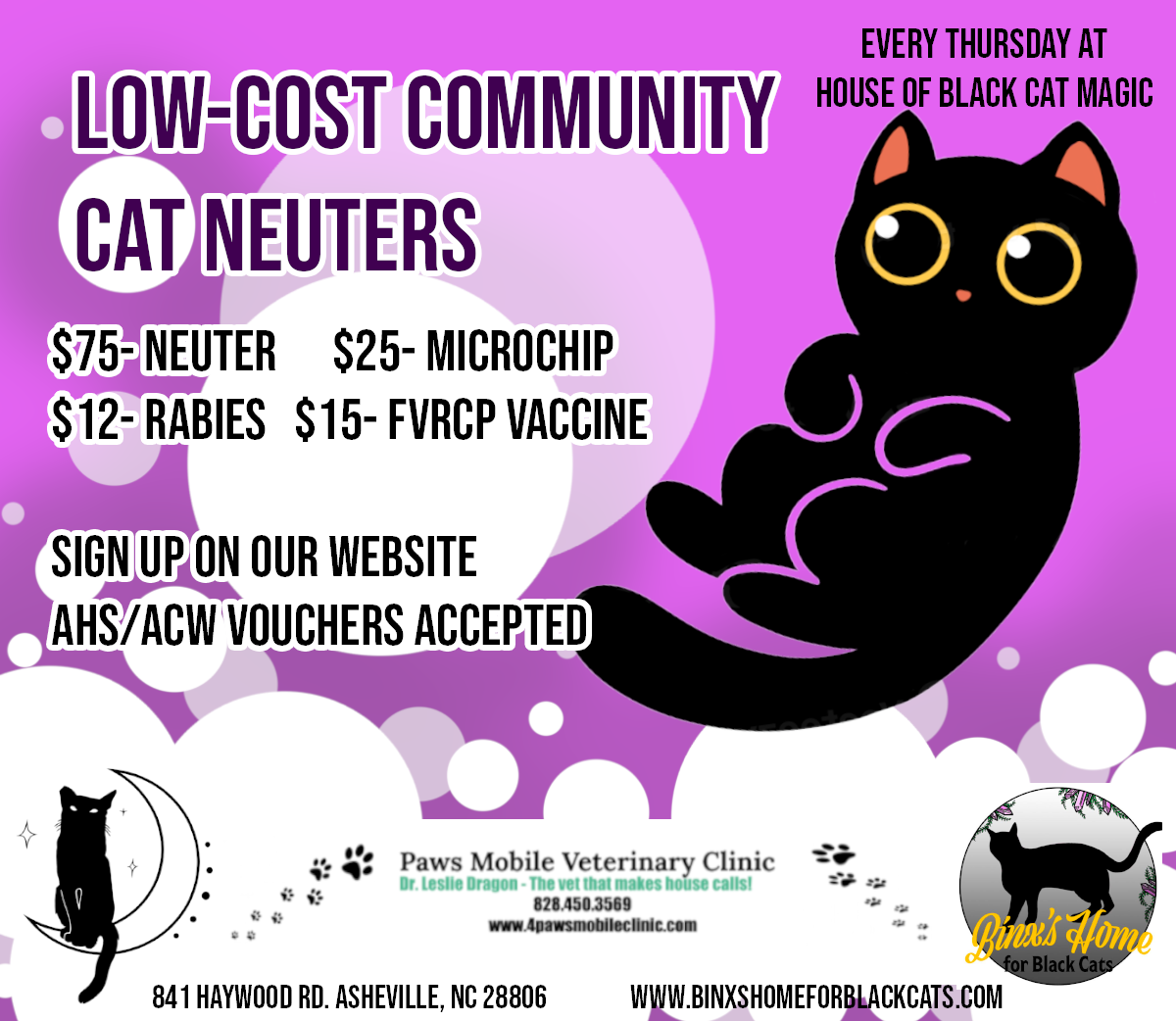 Black Cat Feral Cats For Sale Stray Cat Low Cost Spay Cat Near Me